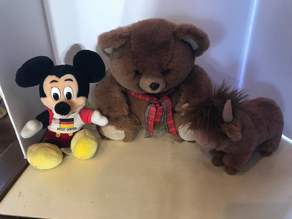 Stuffed animals, Mickey Mouse from Epcot Center, Highlander stuffed cow from Scotland, Walt Disney photo prints