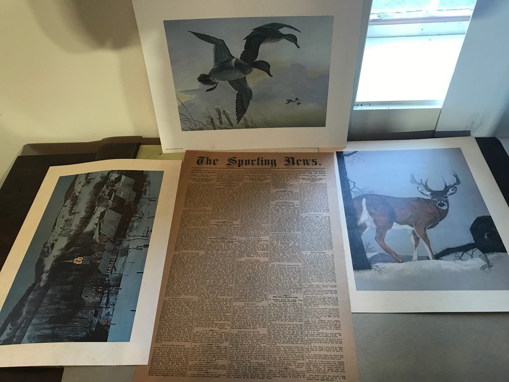 Several animal prints