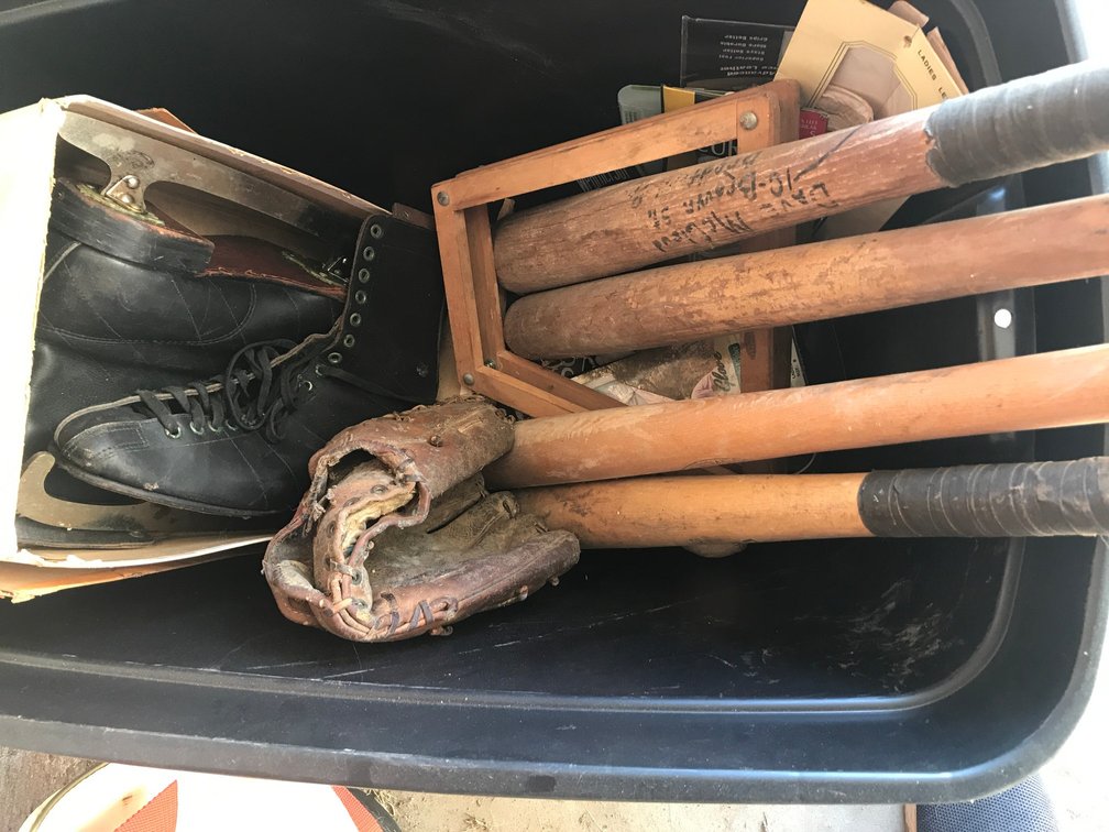 Tote with baseball bats, ice skates, ball glove
