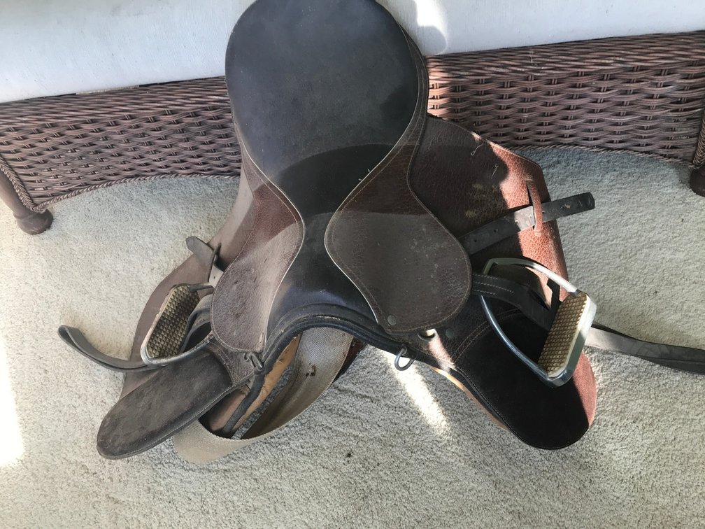 English saddle
