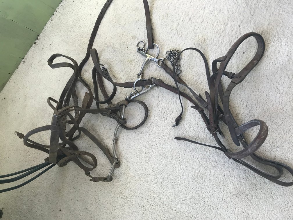 2 Bridles