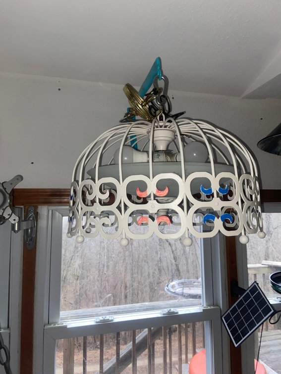 2-Piece Hanging Pendant & Swag Light Fixture Set