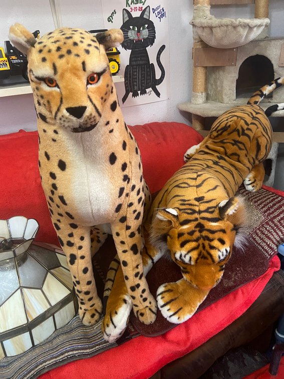 Plush & Electronic Toys - Unbranded
