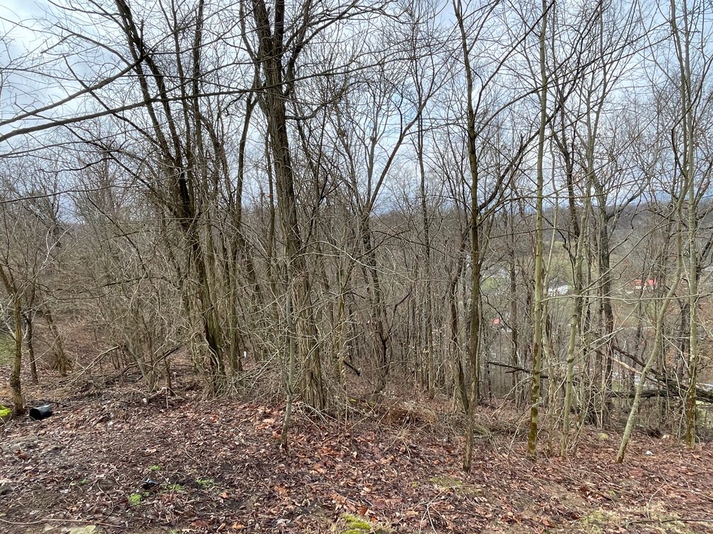 Image for SOLD $34,100 - 7 Prime Acres in Nitro’s Ridgefield Estates