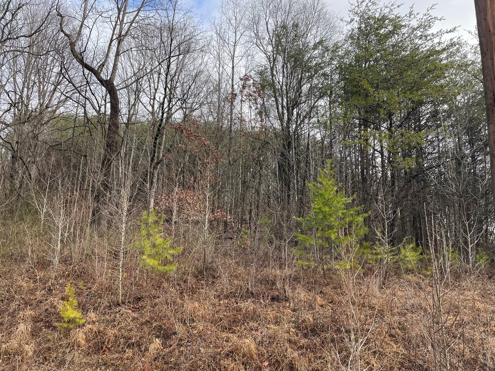 Image for SOLD $34,100 - 7 Prime Acres in Nitro’s Ridgefield Estates