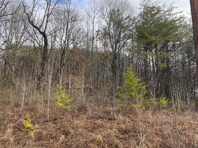 Image for SOLD $34,100 - 7 Prime Acres in Nitro’s Ridgefield Estates