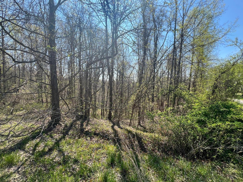 Image for SOLD $19,800 - Nearly 4.5 Acre Lot in the Established Whispering Woods Subdivision