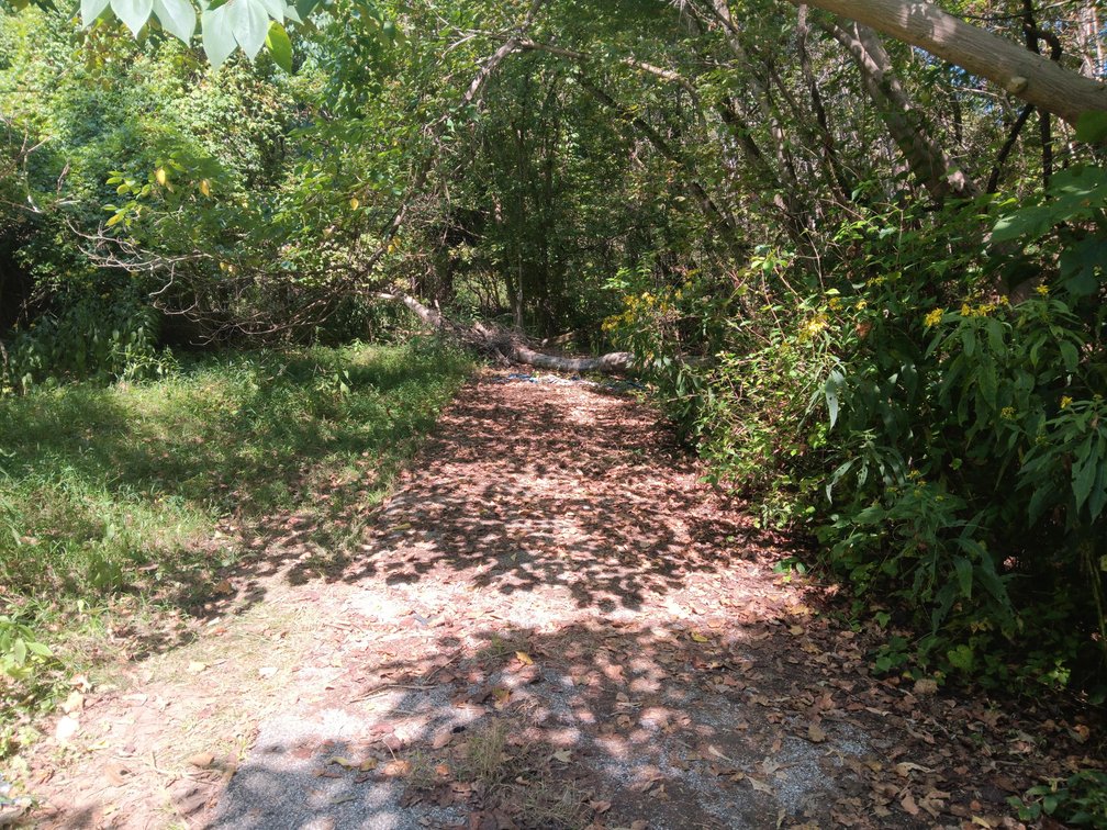Image for SOLD - 13 Tracts in 7 Counties Selling to the Highest Bidders