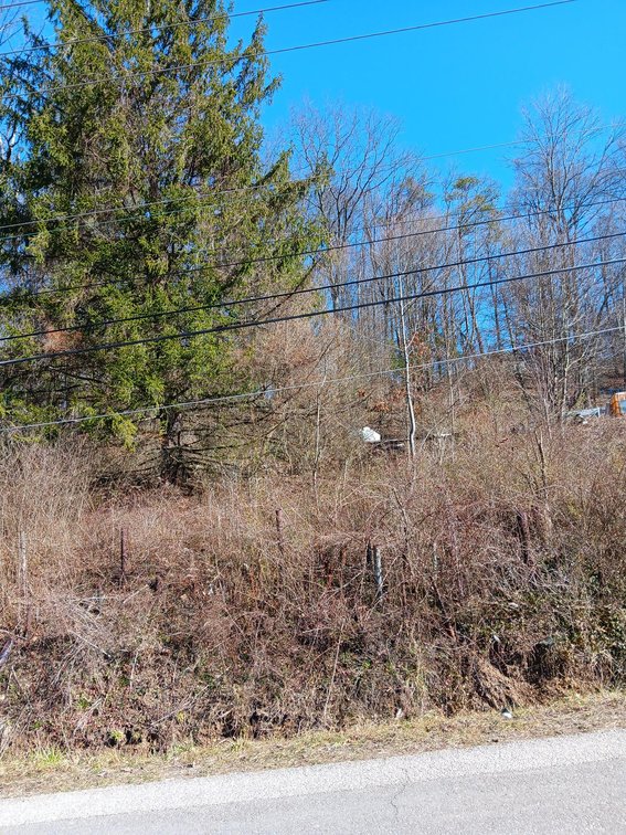 Subject Six: 6430 Starlight Dr, Charleston, WV 25320