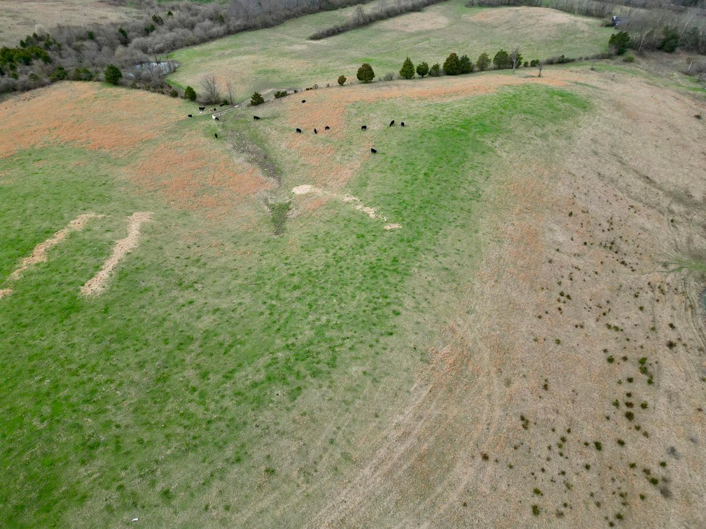 Image for SOLD $396,000 - 55 Acres of Gently Rolling Land in Richmond, KY
