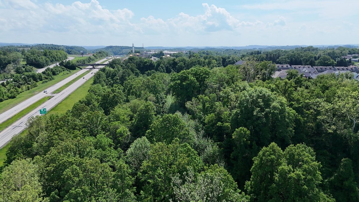 Image for SOLD $495,000 - Nearly 15 Acres on Canyon Road in Morgantown