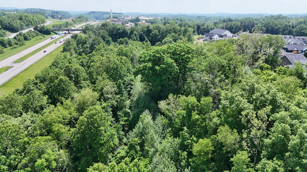Image for SOLD $495,000 - Nearly 15 Acres on Canyon Road in Morgantown