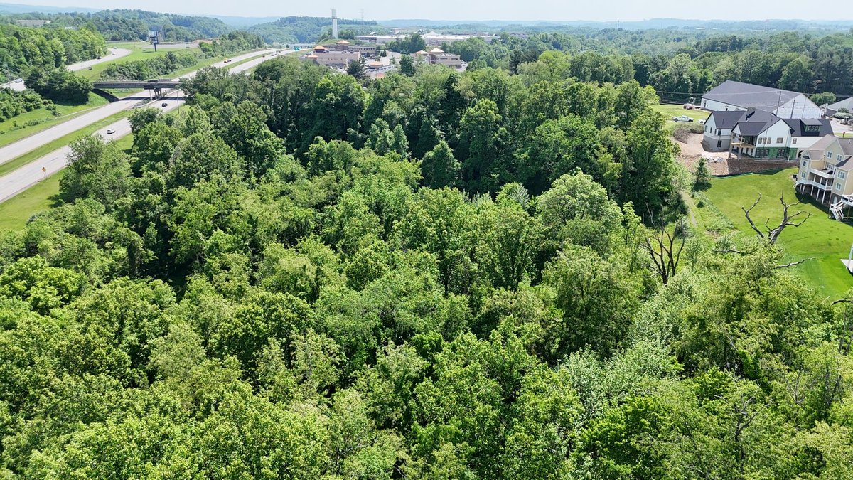 Image for SOLD $495,000 - Nearly 15 Acres on Canyon Road in Morgantown