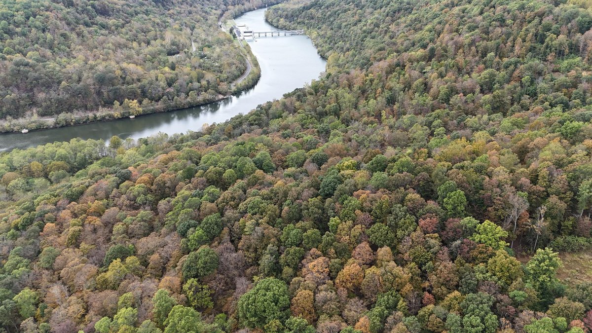 Image for SOLD $24,200 - 13.68 +/- Acres off Smithtown Rd in Mon County Selling to the Highest Bidder