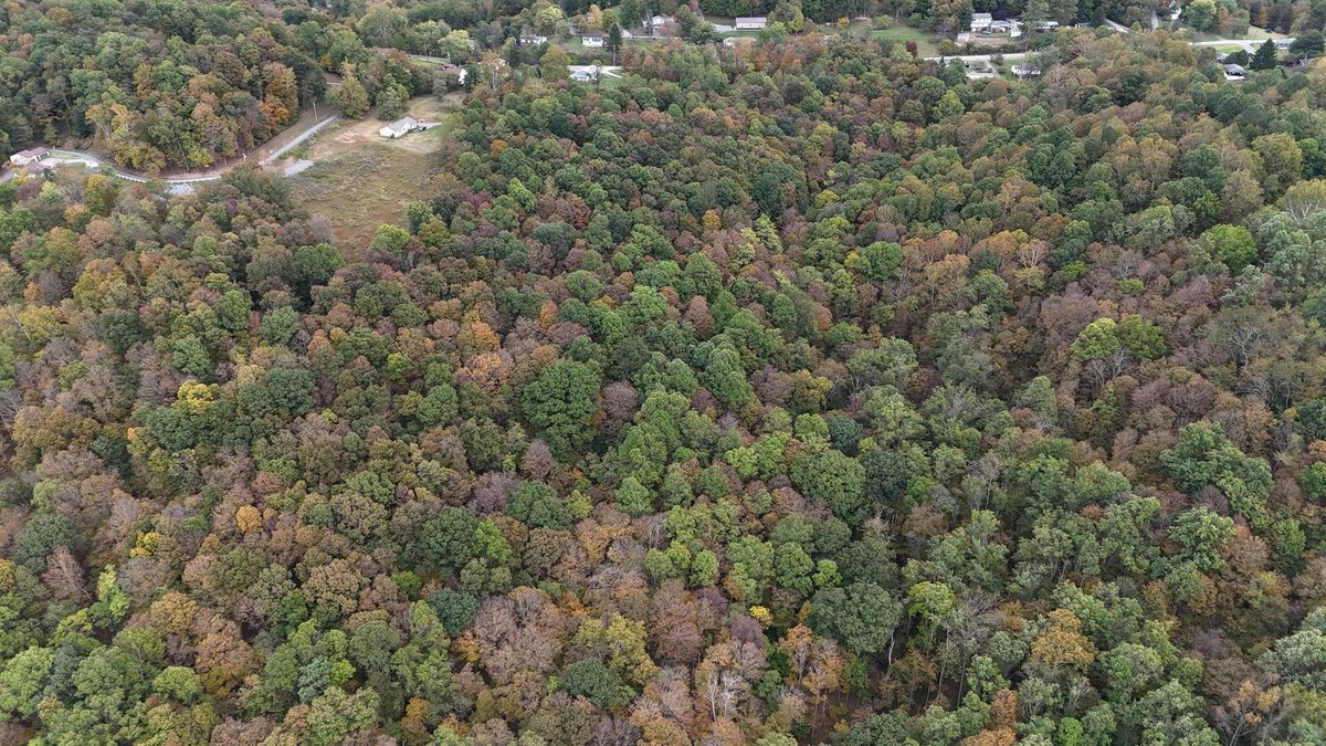 Image for SOLD $24,200 - 13.68 +/- Acres off Smithtown Rd in Mon County Selling to the Highest Bidder