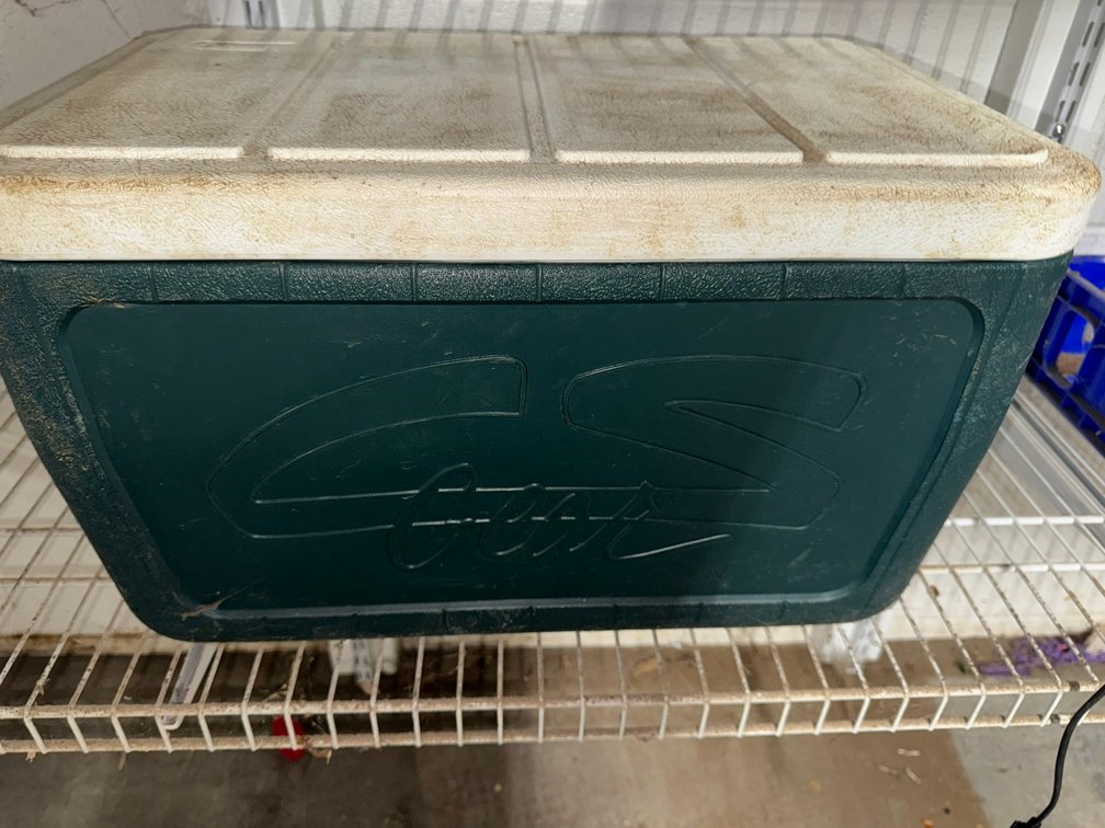 Cooler