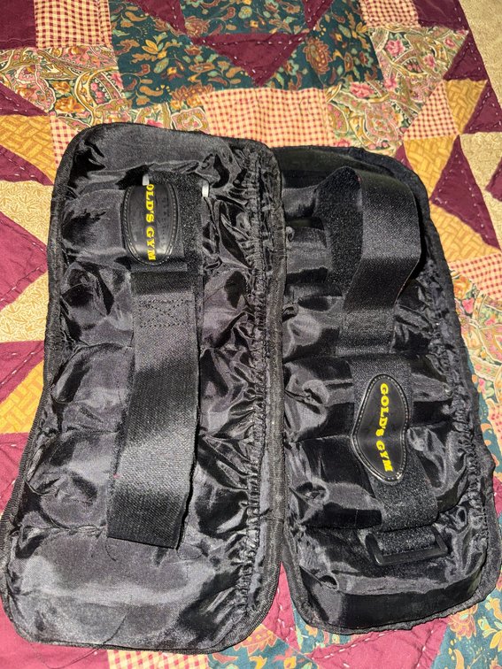 2 Gold's Gym arm weights