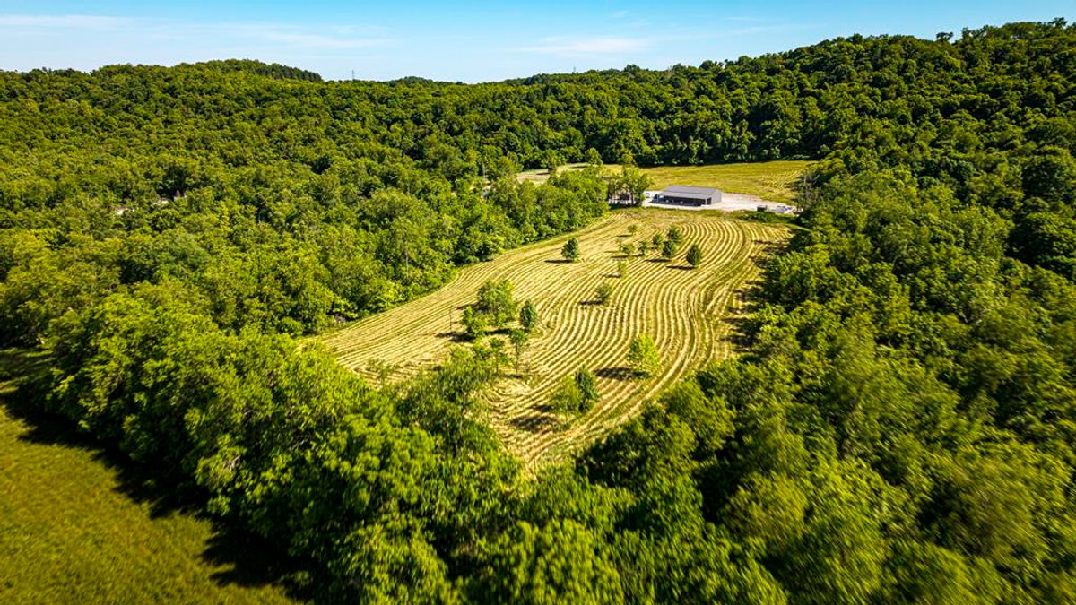 Image for SOLD $726,000 - Luxury 5 Bedroom Estate on 52 Acres with Pool & Heated Workshop in Greene County