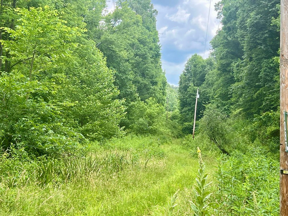 Image for SOLD $49,500 - Nearly 16 Acres in Jackson County