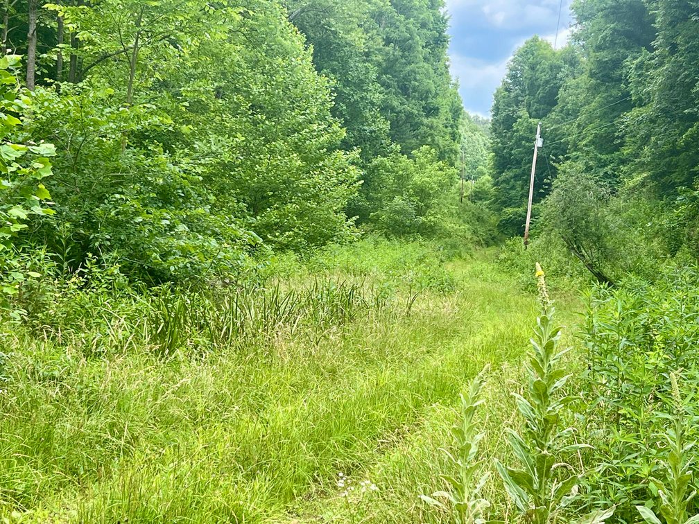 Image for SOLD $49,500 - Nearly 16 Acres in Jackson County