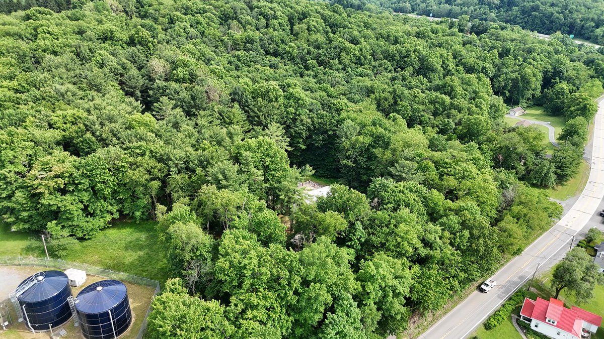 Image for SOLD $979,000 - 4 Bedroom on 23 Acres in Morgantown Selling to the Highest Bidder