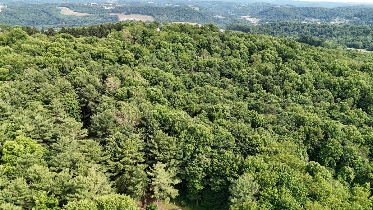 Image for SOLD $979,000 - 4 Bedroom on 23 Acres in Morgantown Selling to the Highest Bidder