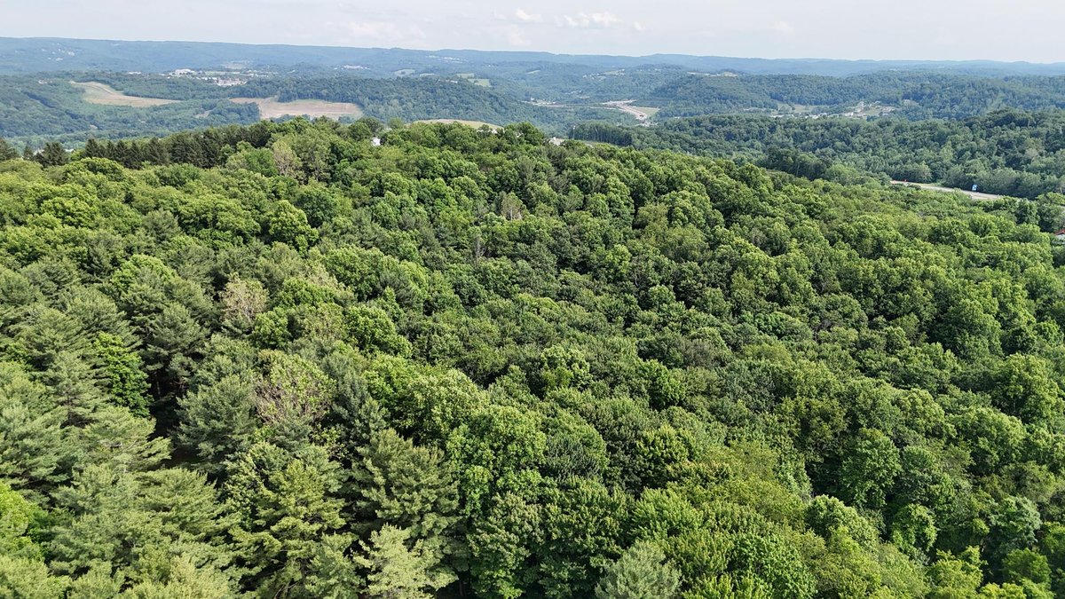 Image for SOLD $979,000 - 4 Bedroom on 23 Acres in Morgantown Selling to the Highest Bidder