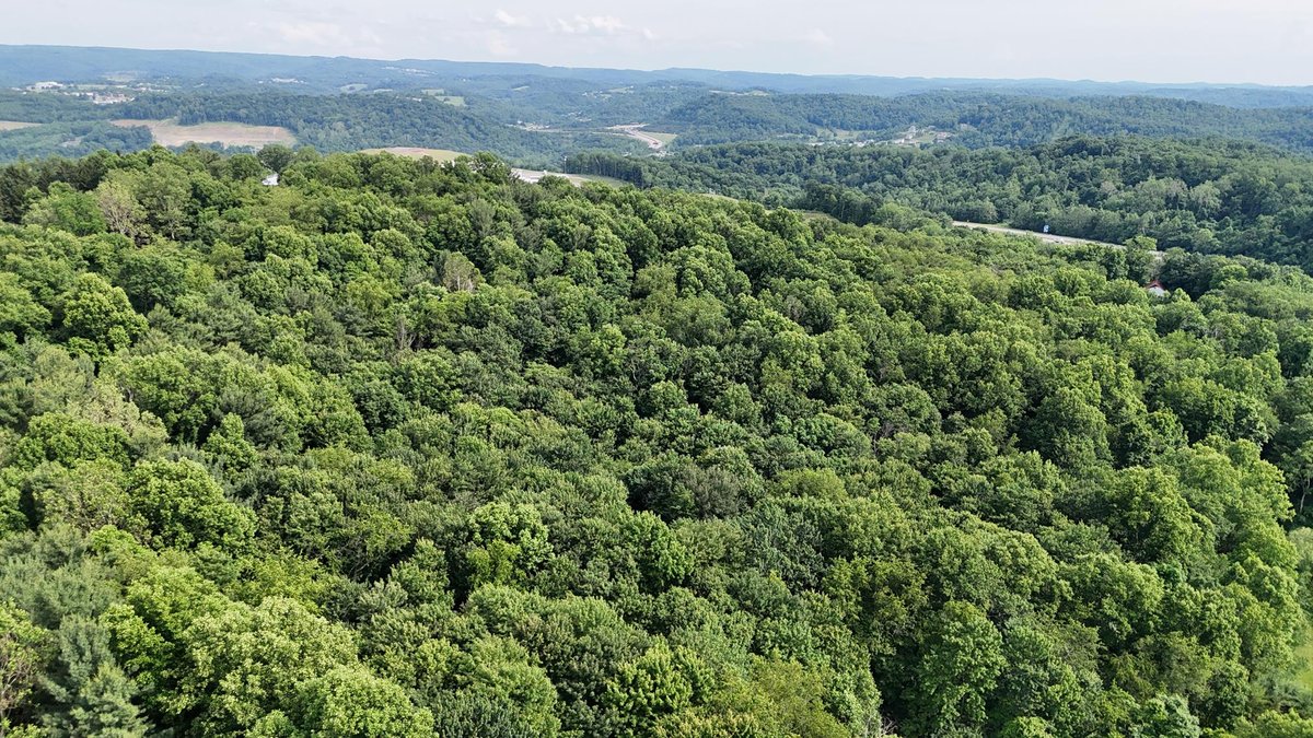 Image for SOLD $979,000 - 4 Bedroom on 23 Acres in Morgantown Selling to the Highest Bidder