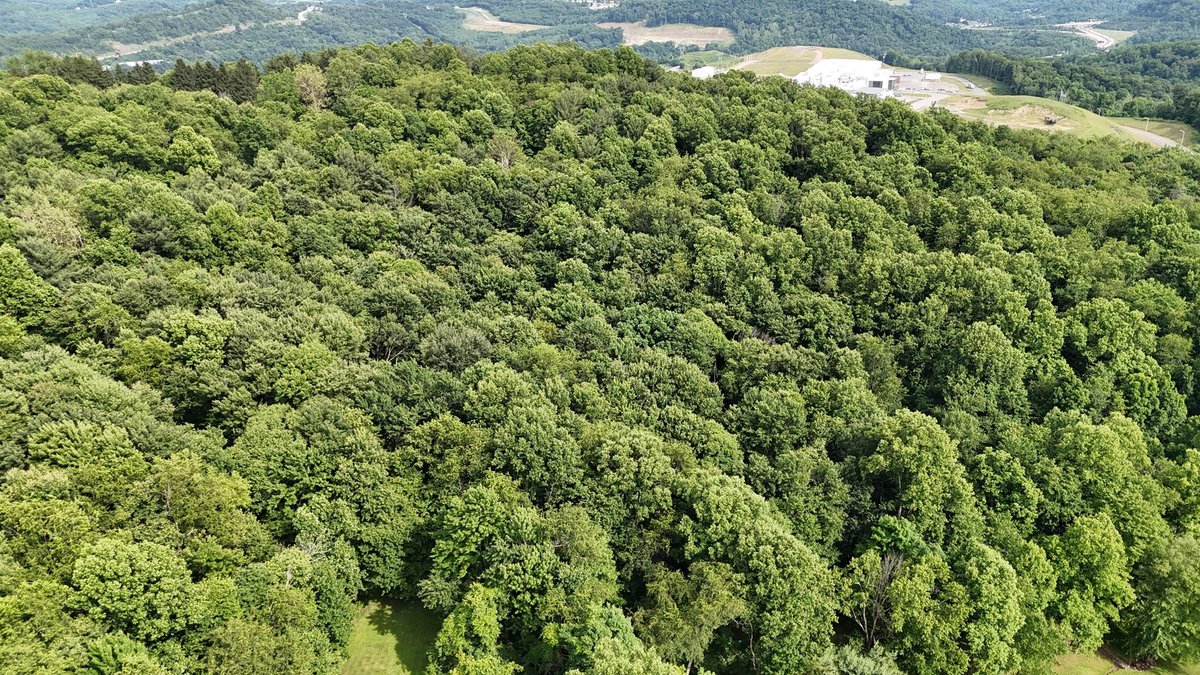 Image for SOLD $979,000 - 4 Bedroom on 23 Acres in Morgantown Selling to the Highest Bidder