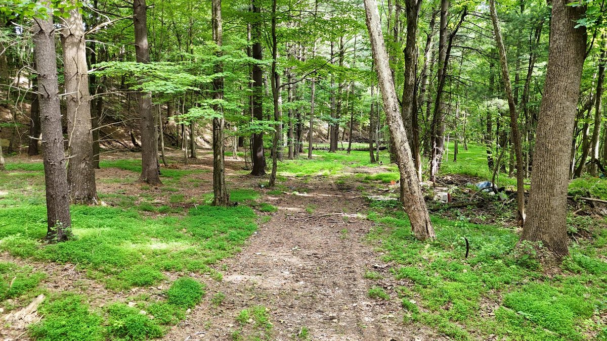 Image for SOLD $979,000 - 4 Bedroom on 23 Acres in Morgantown Selling to the Highest Bidder