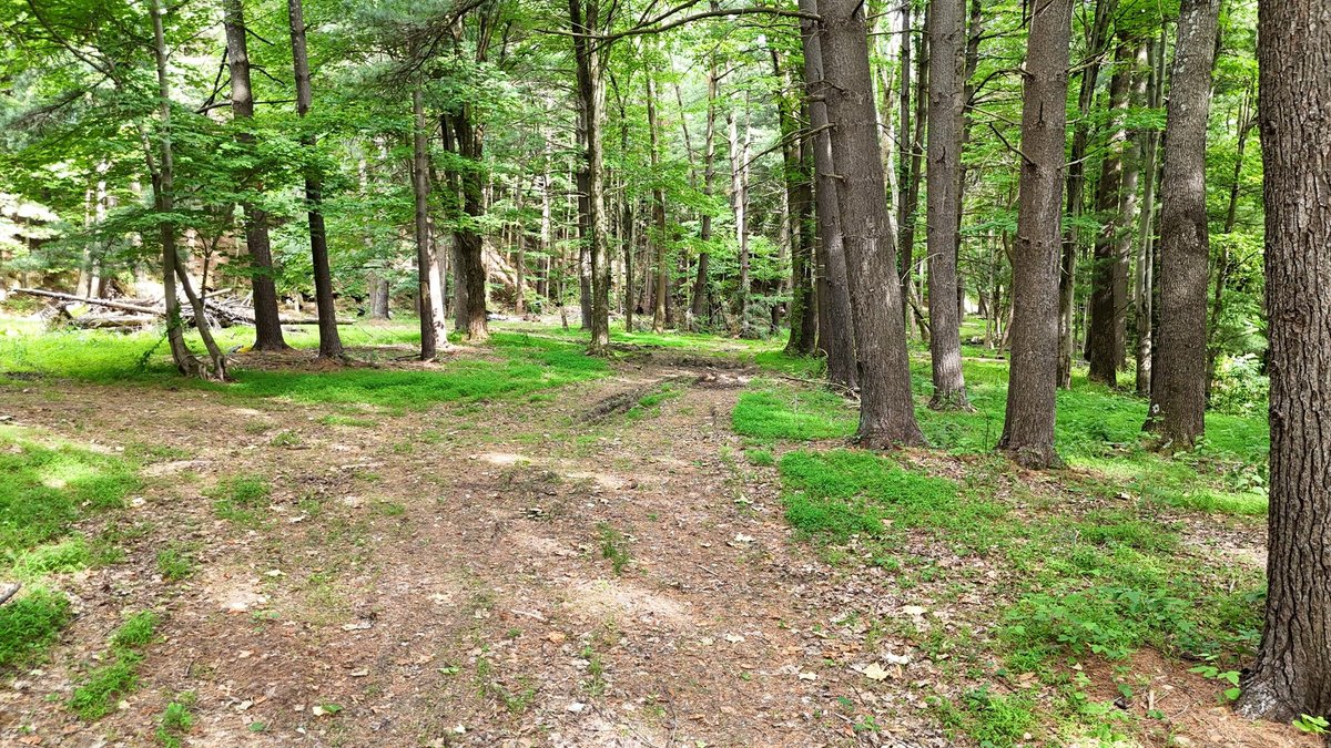 Image for SOLD $979,000 - 4 Bedroom on 23 Acres in Morgantown Selling to the Highest Bidder