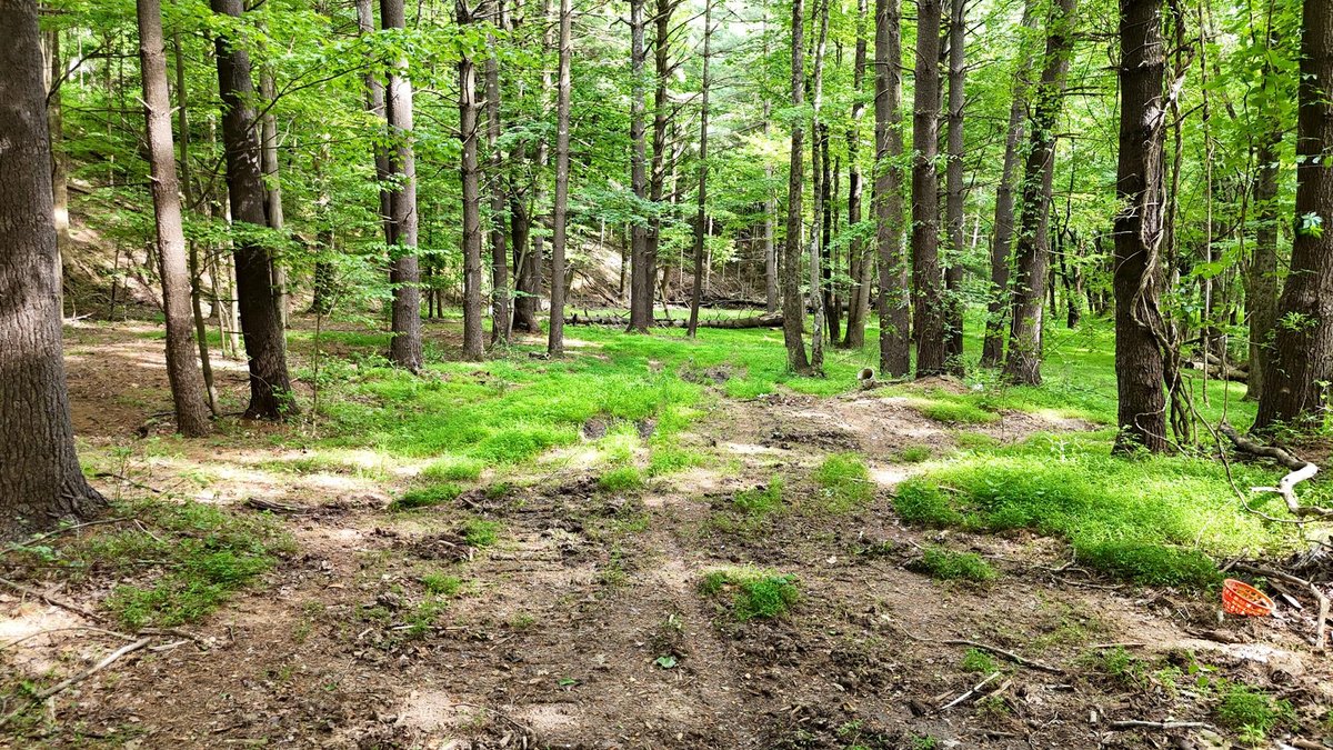 Image for SOLD $979,000 - 4 Bedroom on 23 Acres in Morgantown Selling to the Highest Bidder