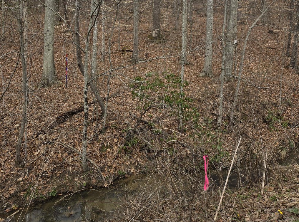 Image for SOLD $33,000 - 5 Surveyed Acres in Fayette County