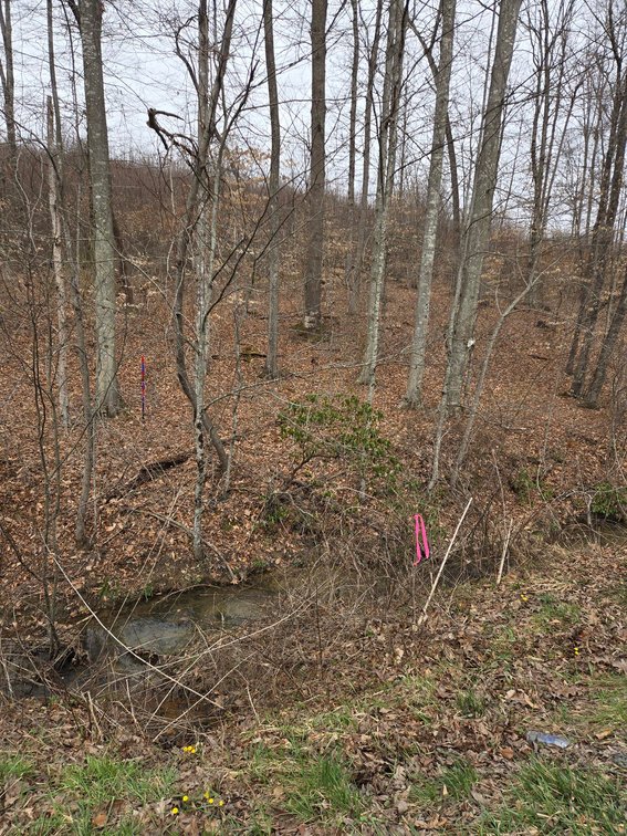 Image for SOLD $33,000 - 5 Surveyed Acres in Fayette County