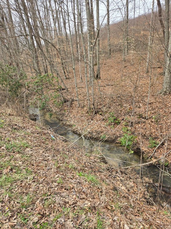 Image for SOLD $33,000 - 5 Surveyed Acres in Fayette County