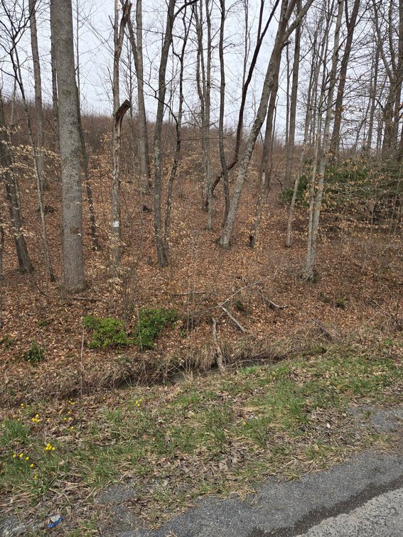 Image for SOLD $33,000 - 5 Surveyed Acres in Fayette County
