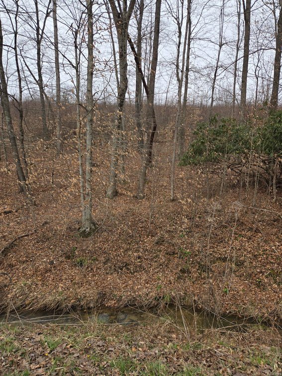 Image for SOLD $33,000 - 5 Surveyed Acres in Fayette County
