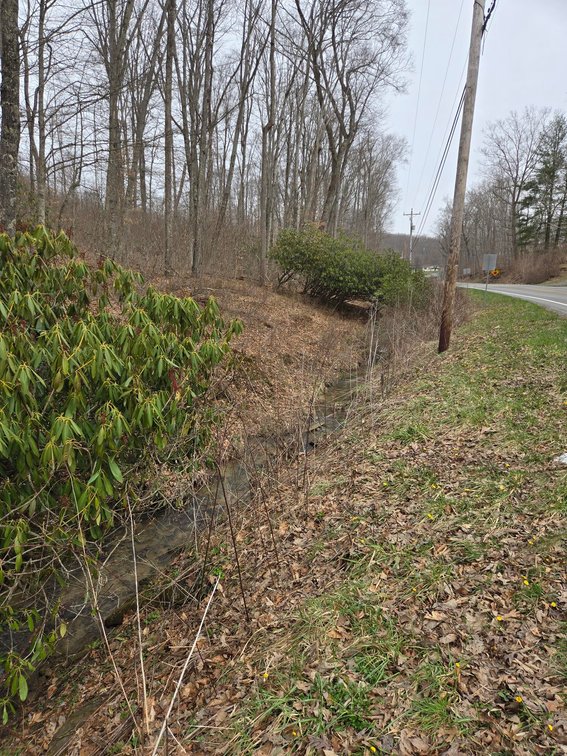 Image for SOLD $33,000 - 5 Surveyed Acres in Fayette County
