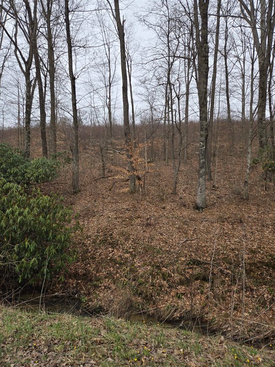 Image for SOLD $33,000 - 5 Surveyed Acres in Fayette County