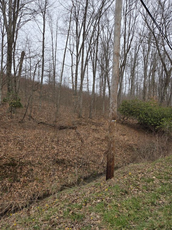 Image for SOLD $33,000 - 5 Surveyed Acres in Fayette County