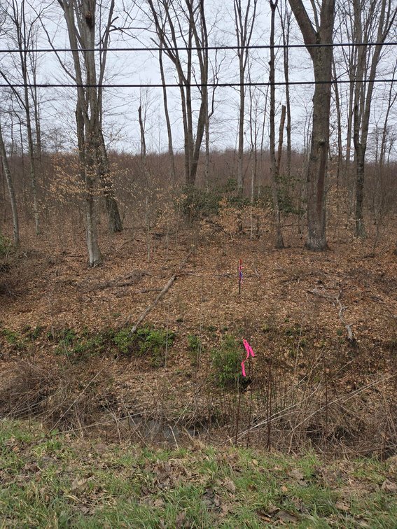 Image for SOLD $33,000 - 5 Surveyed Acres in Fayette County