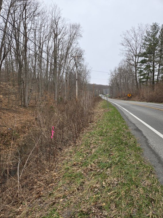 Image for SOLD $33,000 - 5 Surveyed Acres in Fayette County