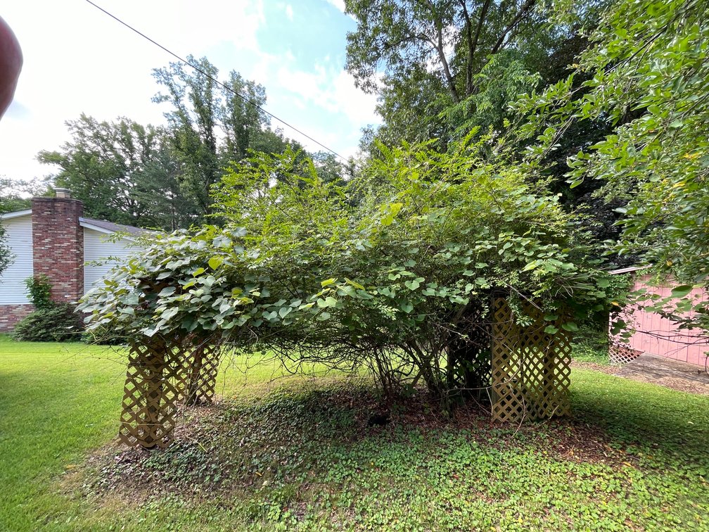 Image for SOLD $94,600 - Brick Mid-Entry 3 Bedroom with a Spacious Yard in Charleston