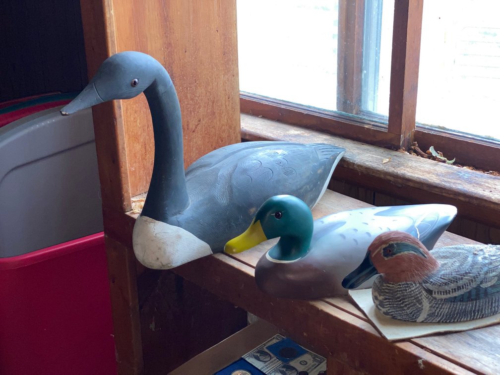 Wooden Ducks