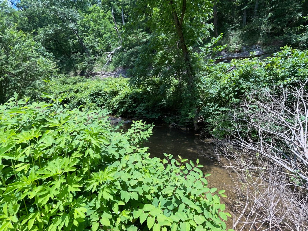 Image for SOLD - 3 Parcels with a Project Home in Kanawha County Selling to the Highest Bidder