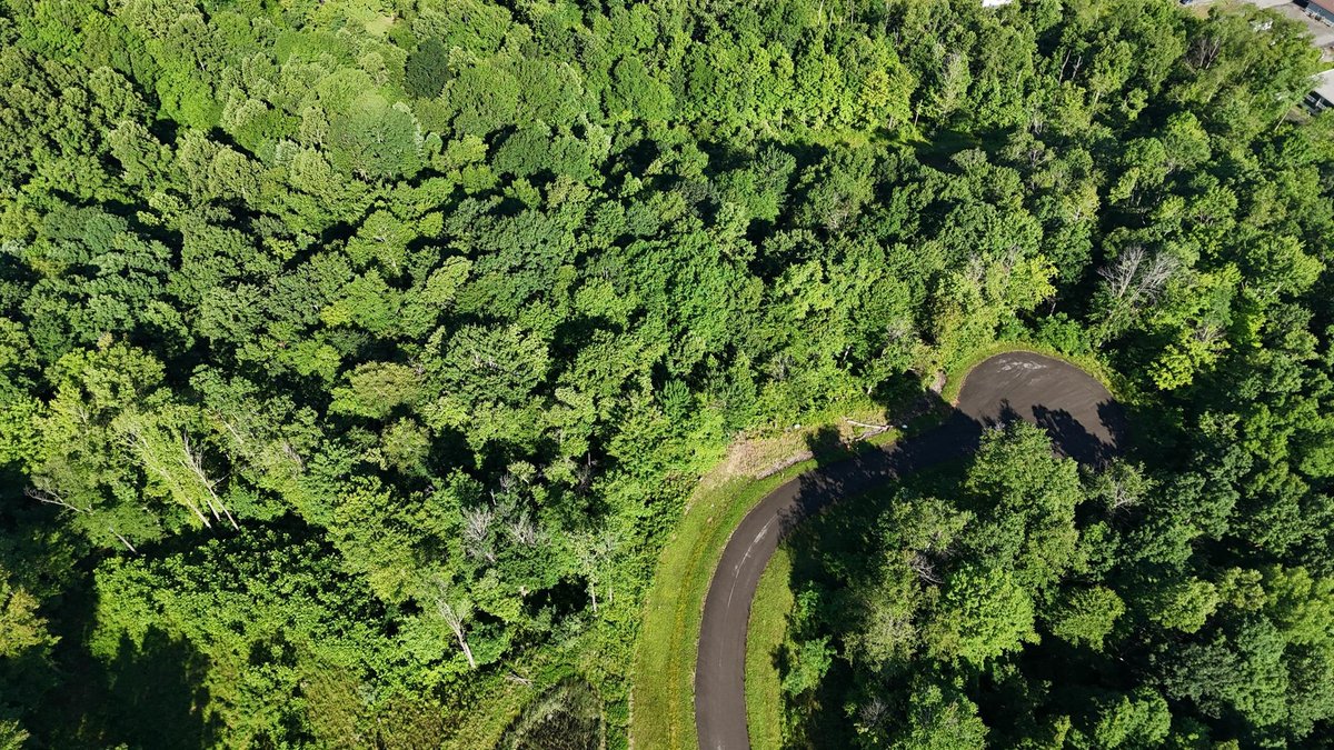 Image for 3.48 Acre Luxury Wooded Homesite in The Vale Subdivision of Bridgeport