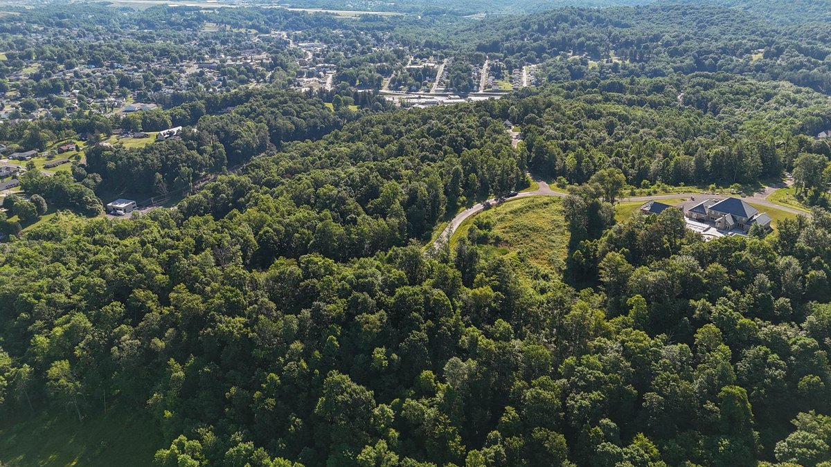 Image for 3.48 Acre Luxury Wooded Homesite in The Vale Subdivision of Bridgeport