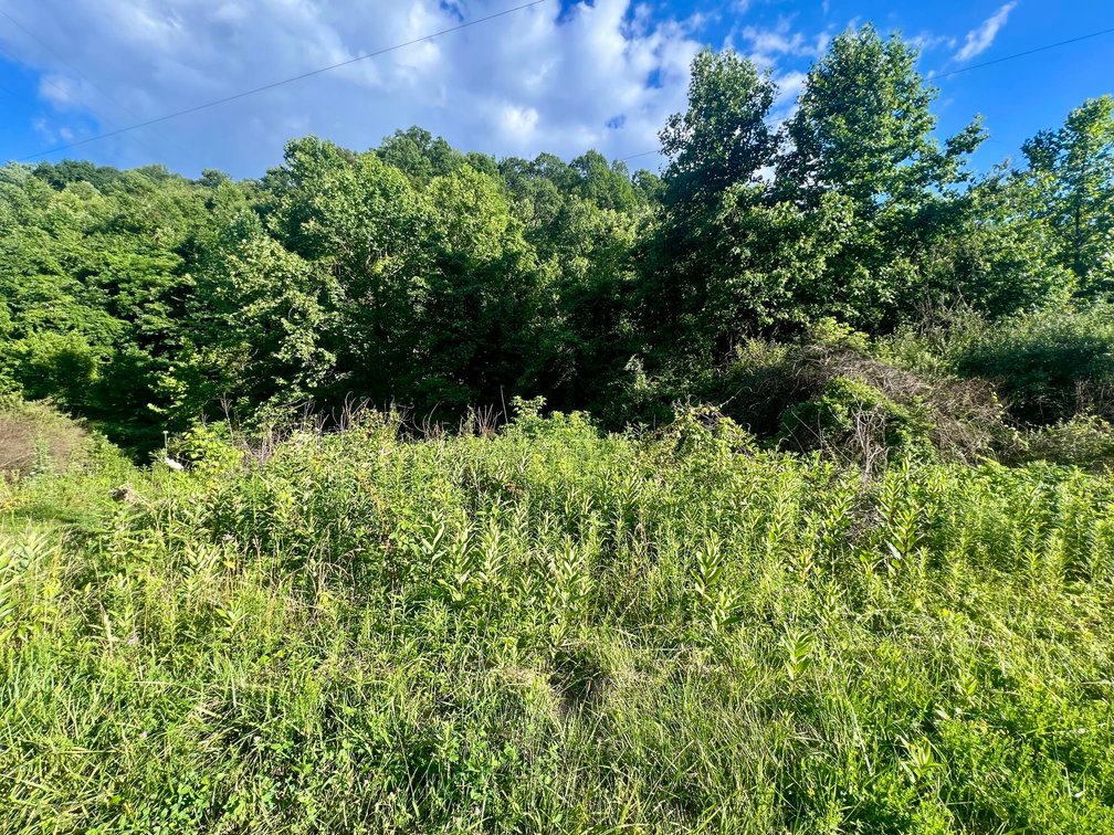 Image for SOLD $29,425 - 26.59 Surveyed Acres in Boone County Selling to the Highest Bidder