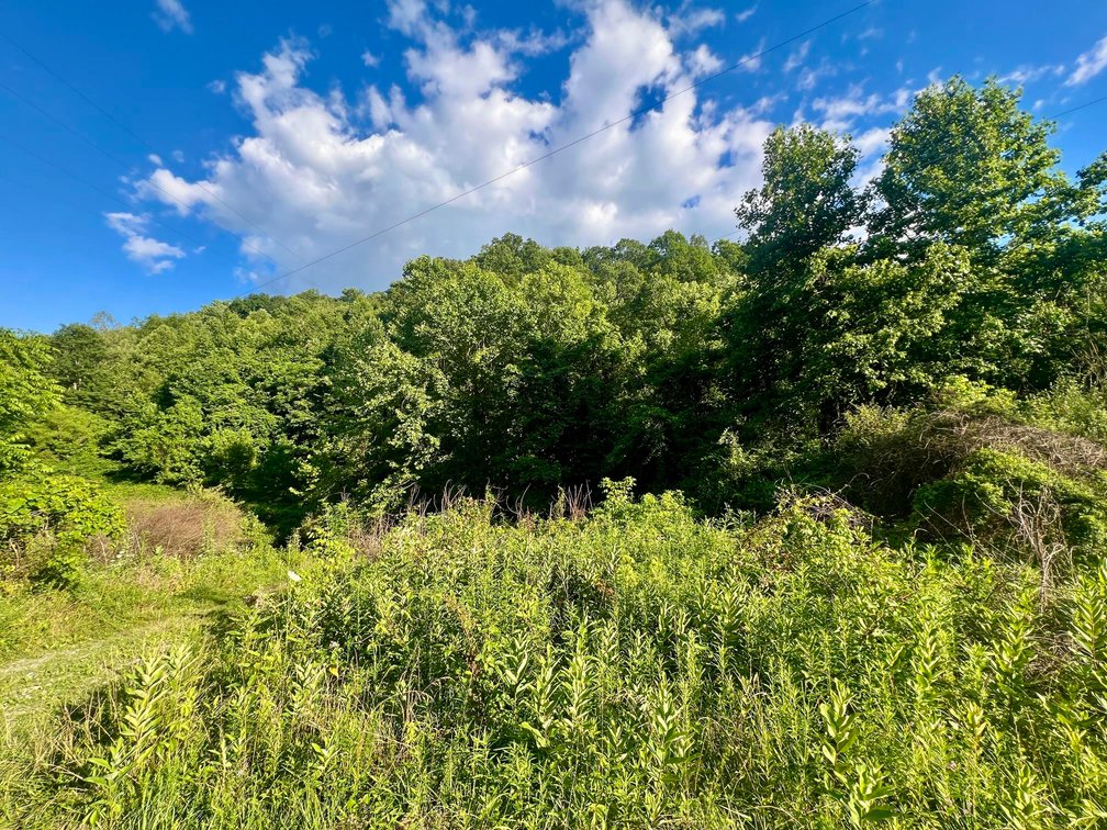 Image for SOLD $29,425 - 26.59 Surveyed Acres in Boone County Selling to the Highest Bidder