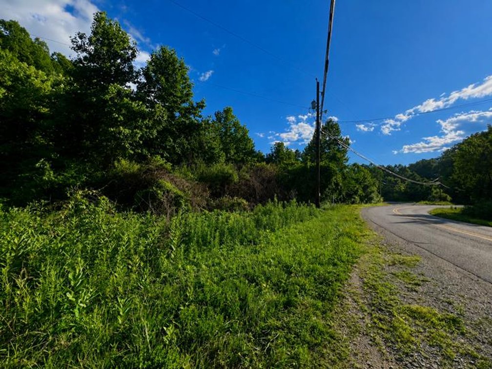 Image for SOLD $29,425 - 26.59 Surveyed Acres in Boone County Selling to the Highest Bidder